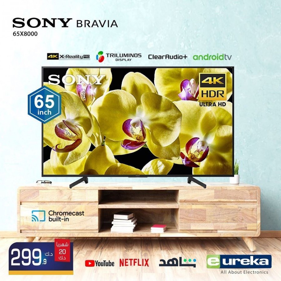 Eureka Electronics TV Great Offers