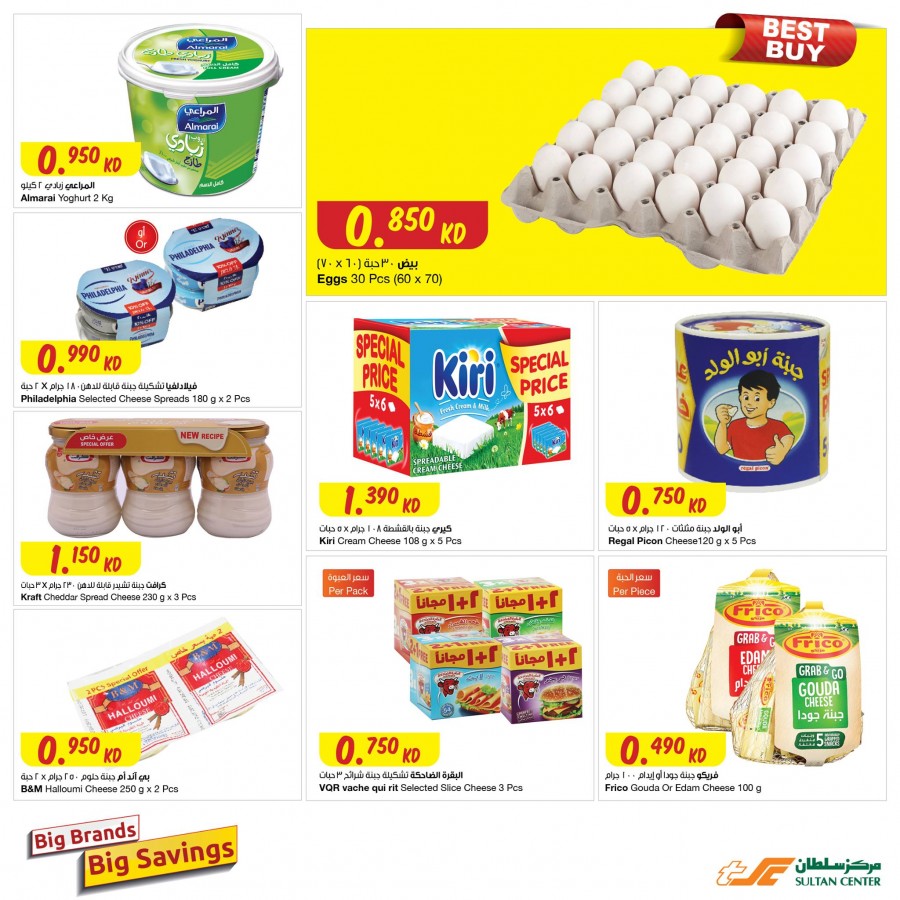 Big Brands Big Savings Promotion