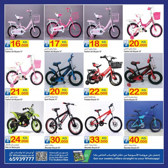 Carrefour Camping & Gardening Offer