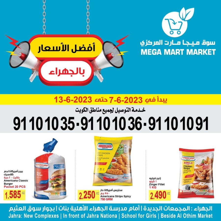 Mega Mart Market Super Sale