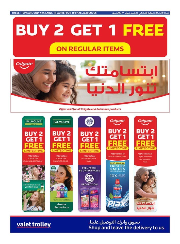 Carrefour Flash Sale