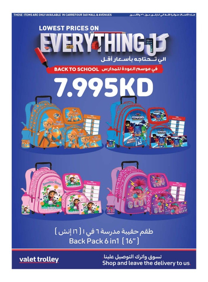 Carrefour Flash Sale