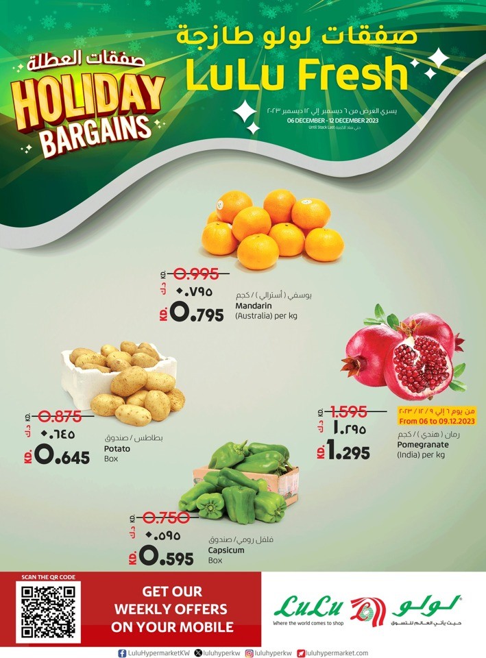 Holiday Bargains Fresh Deals