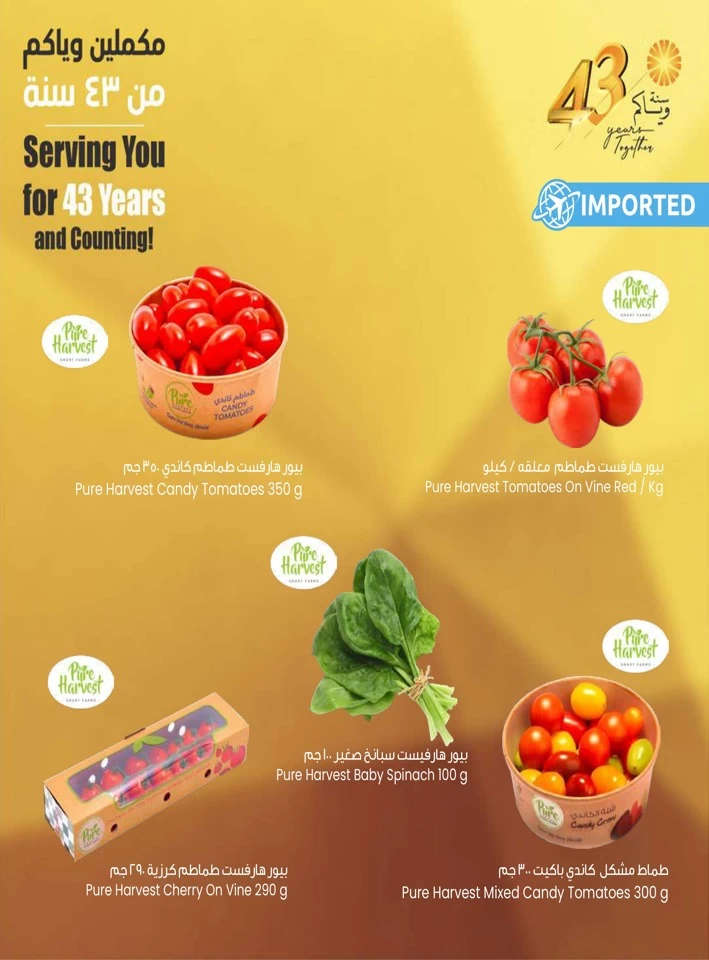 The Sultan Center Anniversary Sale