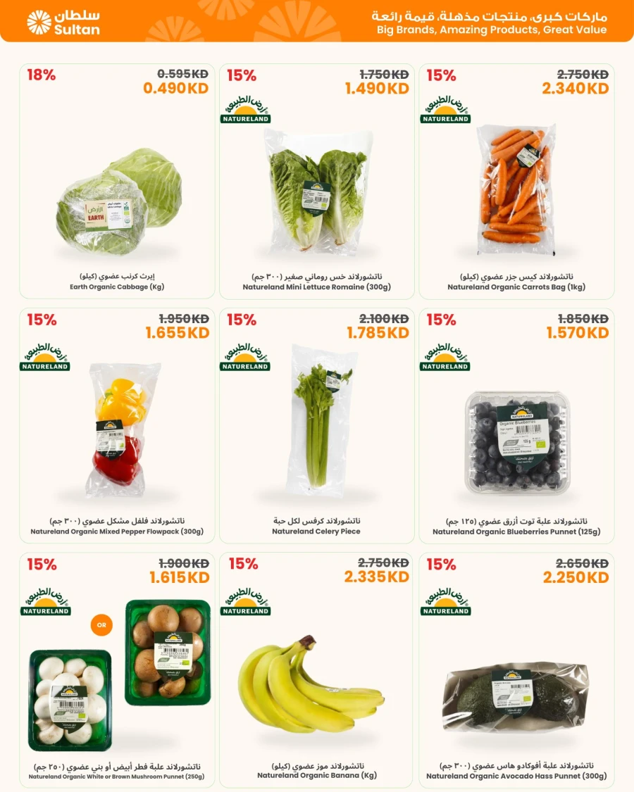  عروض مركز سلطان  من 29 يناير إلى 03 فبراير 2026