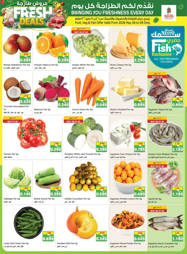Nesto Great Discount Offer
