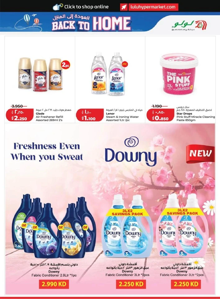Lulu Back to Home Offer