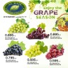 Al Raie Grape Season
