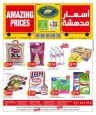 Al Raie Amazing Prices