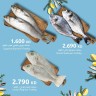 Seafood Deal 23-25 February