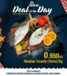Deal Of The Day 18 April 2024