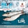 Fish Deal 11-13 July 2024