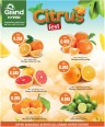 Grand Citrus Fest Deal