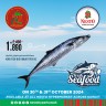 Fresh Seafood 30-31 October 2024