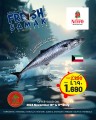 Fish Deal 16-17 November 2024