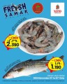 Fish Deal 21-22 November 2024