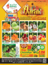 Fresh Weekly Promotion
