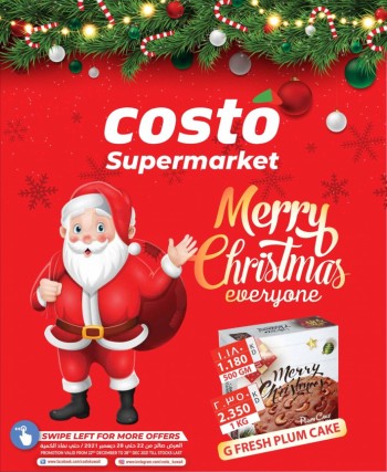 Costo Supermarket Merry Christmas