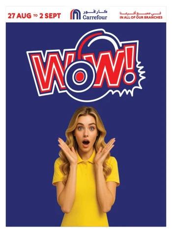 Carrefour Wow Promotion