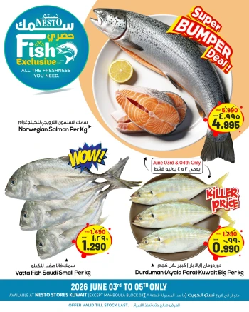 Nesto Fish Exclusive Offer