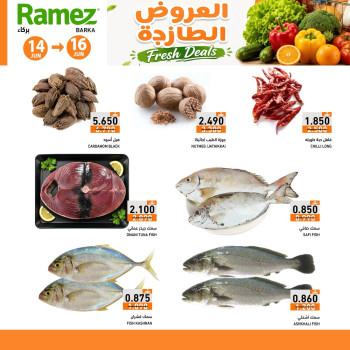 Ramez Barka Fresh Deals