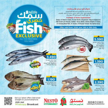 Nesto Fish Exclusive Offer