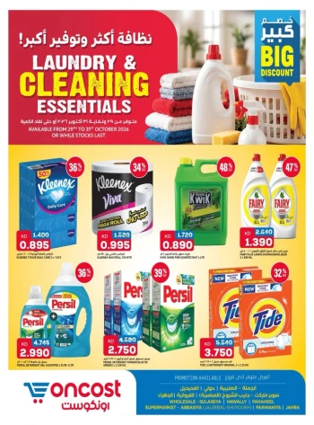 Laundry & Cleaning Essentials Promotion